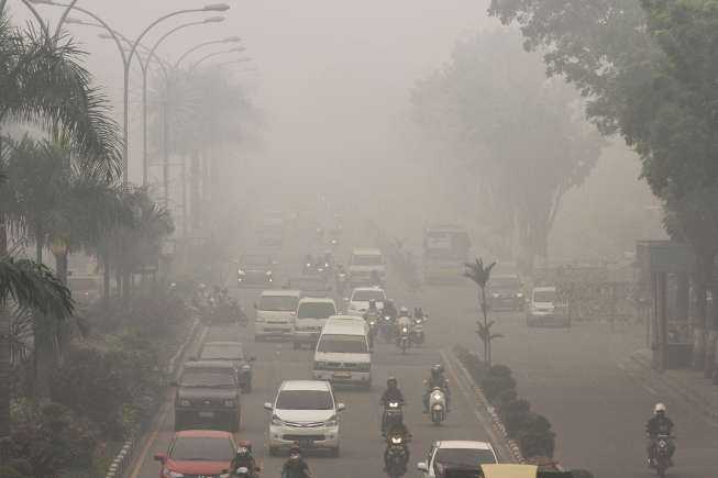 3 Alasan Penting Perayaan Hari Bebas Kendaraan Bermotor Dunia